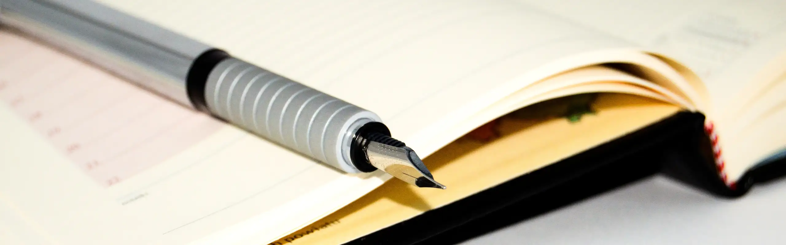 Ein grauer Füllfederhalter liegt auf einem geöffneten Notizbuch.